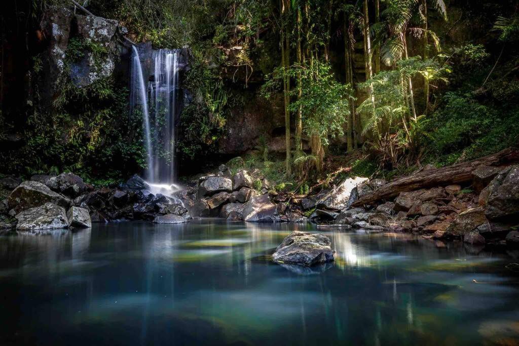 Totally Separate, Completely Private, Enough For 3 Holiday home Gold Coast